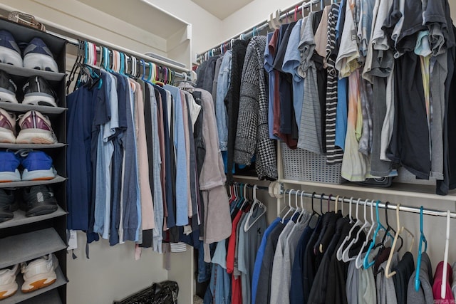 view of spacious closet