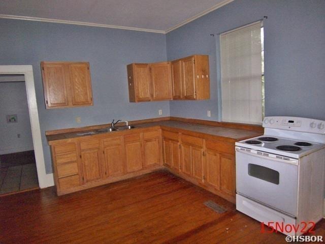 kitchen with sink, white electric range, dark hardwood / wood-style floors, and ornamental molding