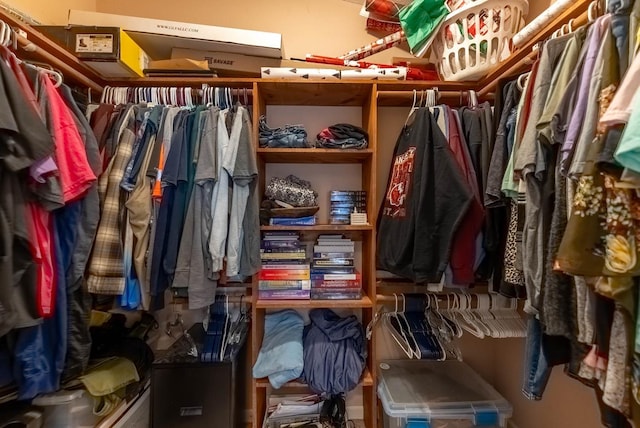 view of walk in closet