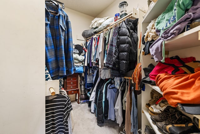 walk in closet with light carpet