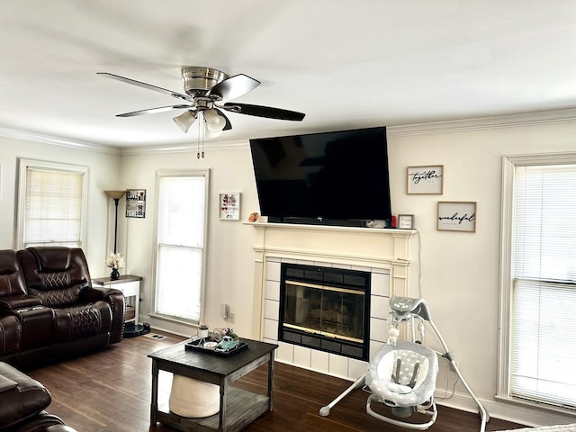 living room featuring a tile fireplace, crown molding, dark hardwood / wood-style floors, and ceiling fan