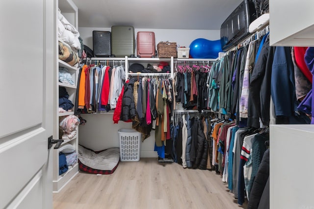 spacious closet featuring light hardwood / wood-style floors