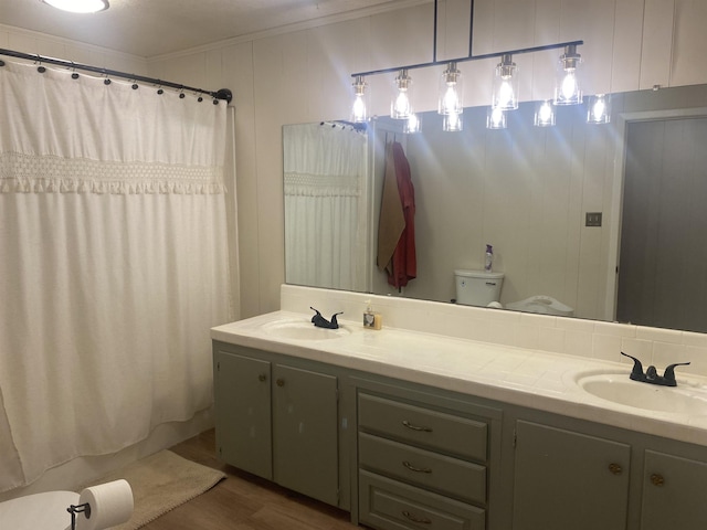 bathroom with hardwood / wood-style floors, vanity, and toilet