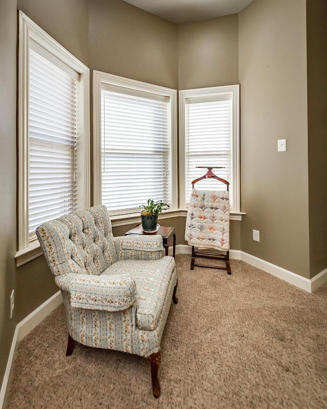 living area featuring carpet flooring