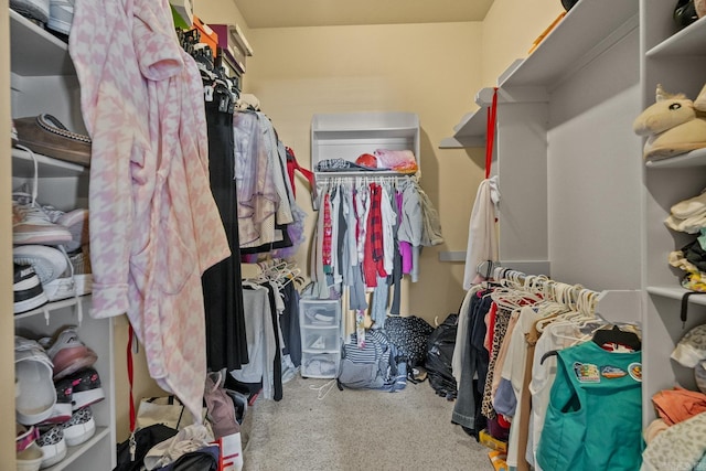 spacious closet featuring carpet floors