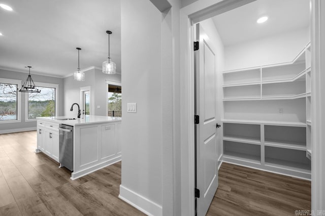 pantry with sink