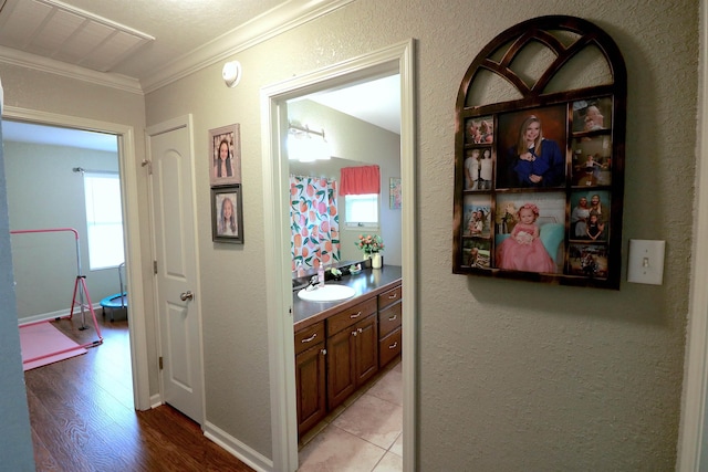 corridor with sink, crown molding, and light hardwood / wood-style floors