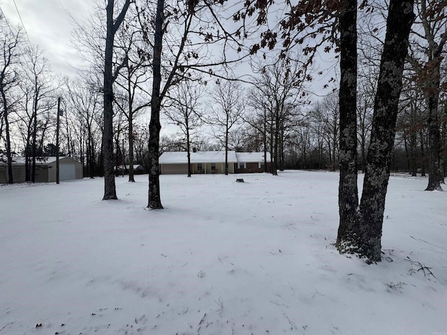 view of snowy yard