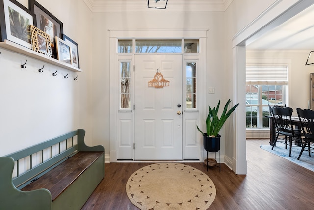 foyer entrance featuring ornamental molding and dark hardwood / wood-style floors