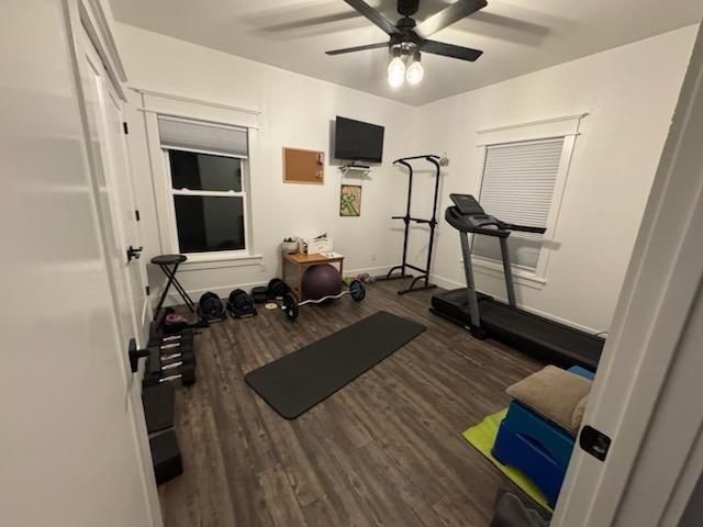 workout room featuring dark wood-style floors and ceiling fan