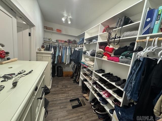 walk in closet featuring dark wood-style floors