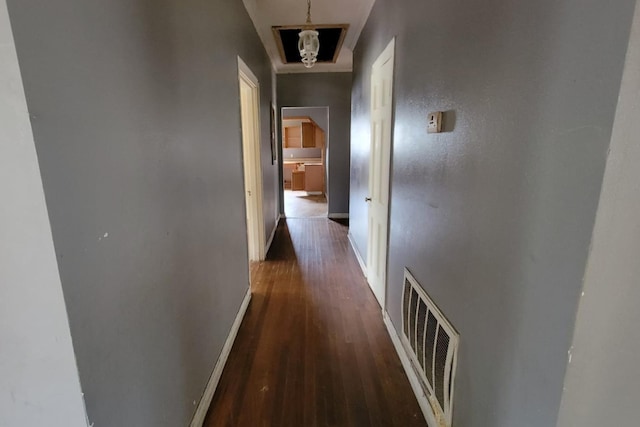 corridor featuring dark hardwood / wood-style flooring