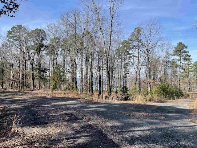 Listing photo 3 for 00 Diamond Bluff Rd, Quitman AR 72131