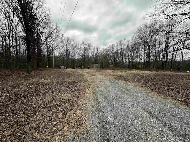 419 Robert Young Rd, Ward AR, 72176 land for sale