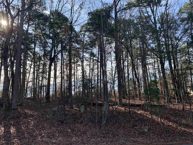 LOT4BLOCK12 Combre Way, Hot Springs Village AR, 71909 land for sale