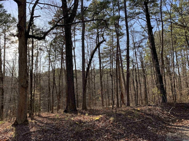 Listing photo 3 for LOT4BLOCK12 Combre Way, Hot Springs Village AR 71909