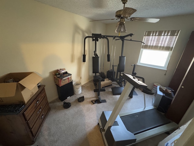 exercise area with carpet floors, a ceiling fan, and a textured ceiling