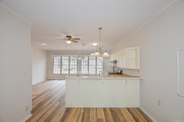 kitchen with stainless steel stove, a peninsula, wood finished floors, white cabinets, and crown molding