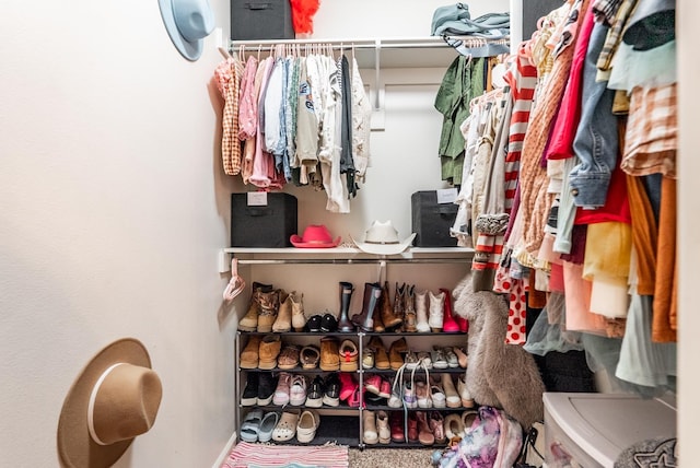 view of walk in closet