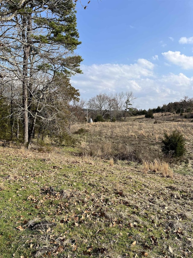 Listing photo 2 for TBD.2 Polk Road 85, Mena AR 71953