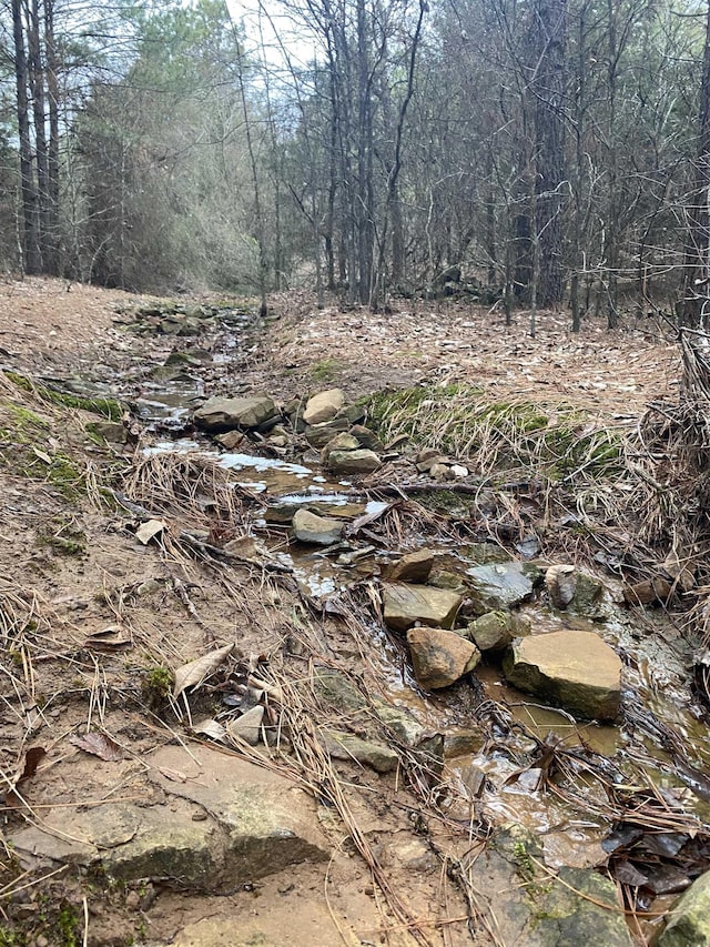 view of local wilderness with a view of trees