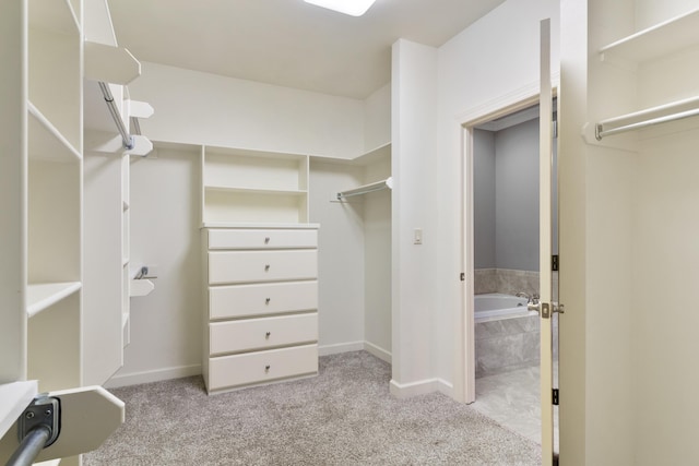 spacious closet with light carpet