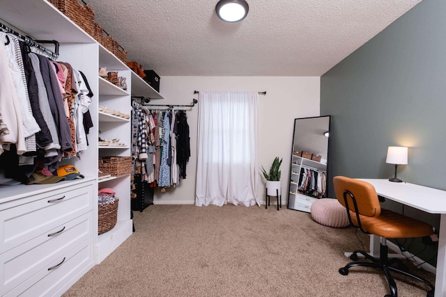 walk in closet featuring light colored carpet