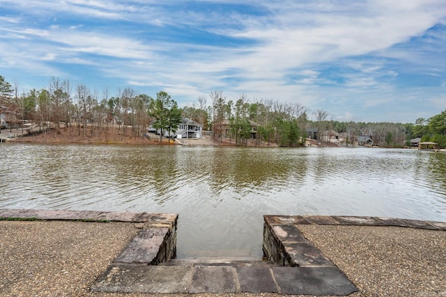 dock area with a water view