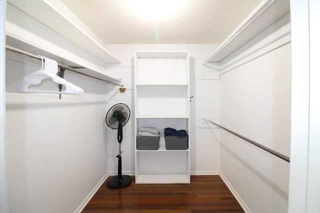 walk in closet featuring dark wood-style flooring