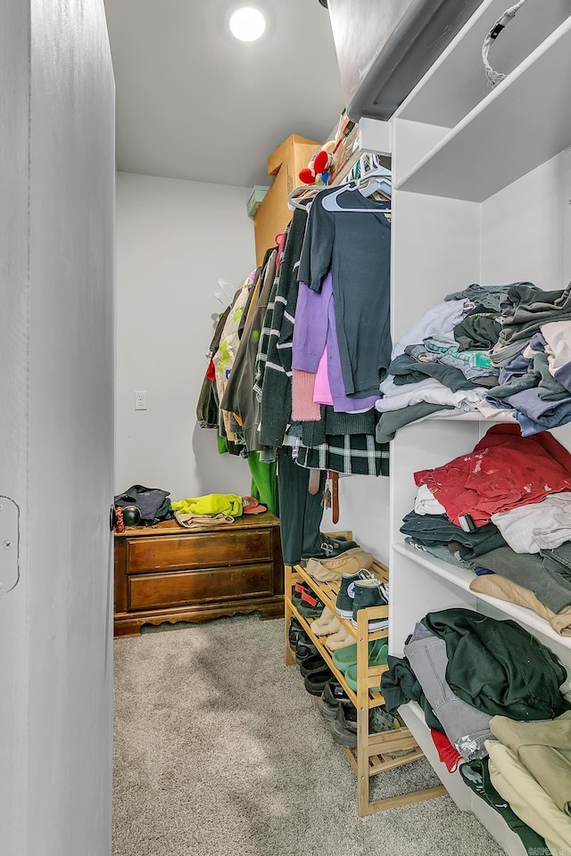 walk in closet with carpet flooring