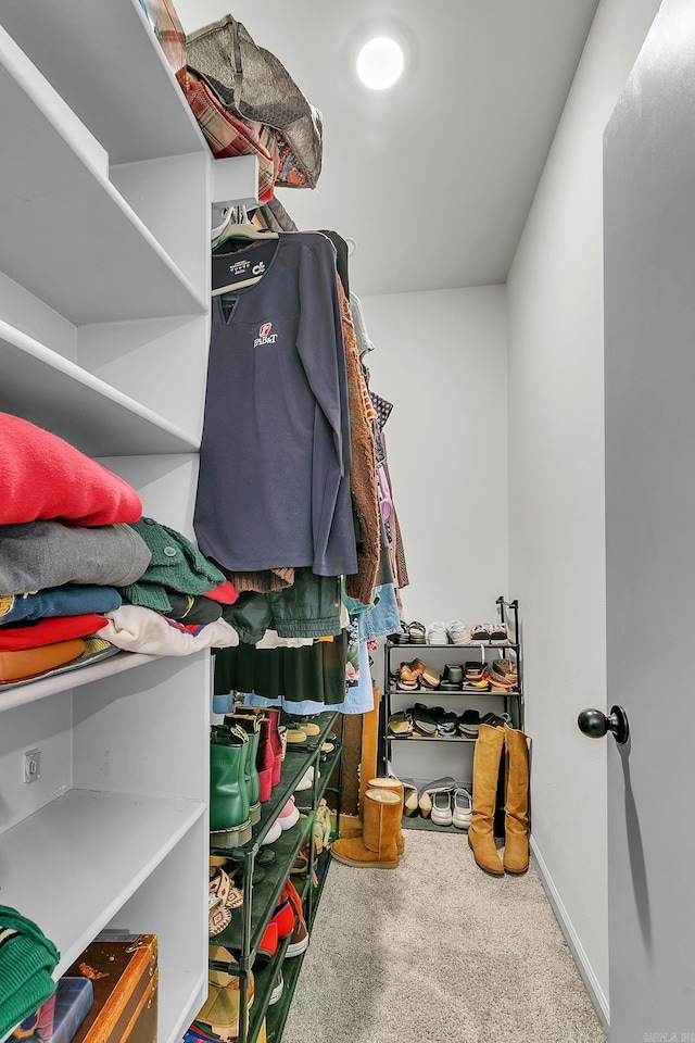 walk in closet with carpet flooring