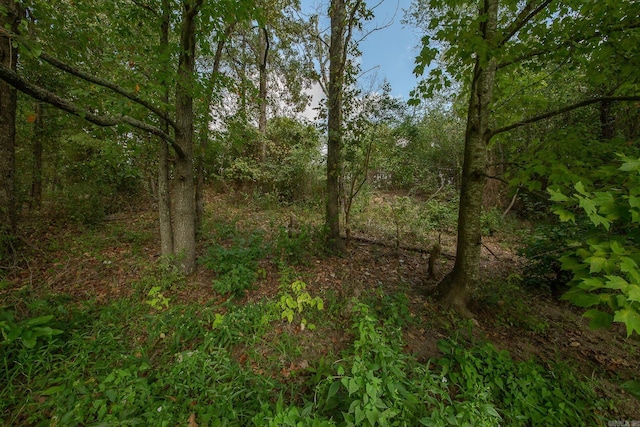 view of local wilderness featuring a view of trees