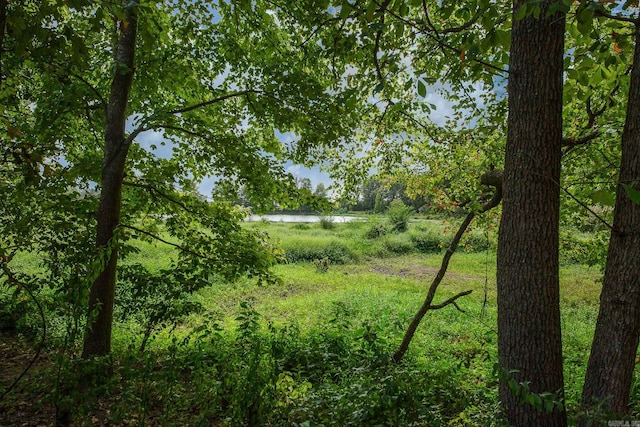 view of nature featuring a water view