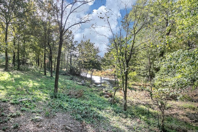 view of yard featuring a forest view