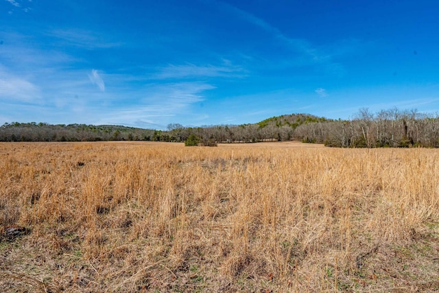 XXX Albert Pike Road, Royal AR, 71968 land for sale