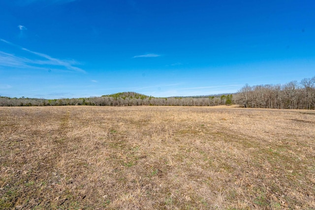 Listing photo 3 for XXX Albert Pike Road, Royal AR 71968