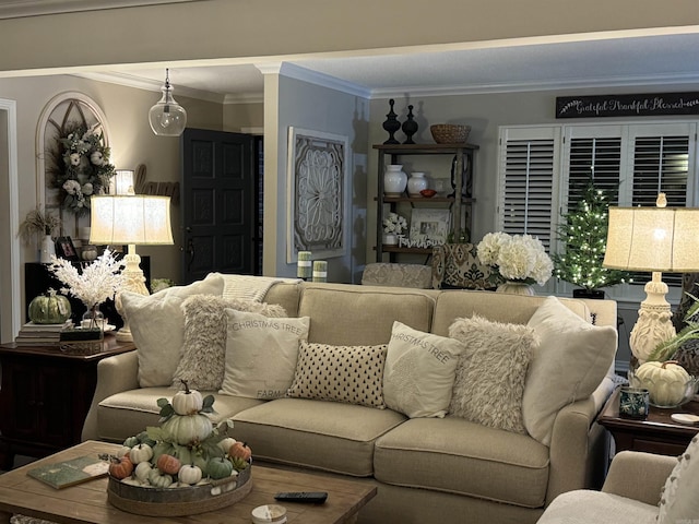 living room featuring crown molding