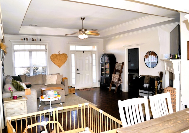 living area featuring a ceiling fan, ornamental molding, a raised ceiling, and dark wood-style flooring