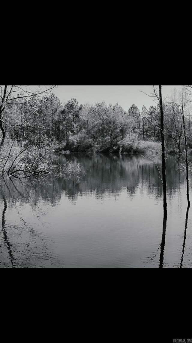 TractS Polk Road 31, Cove, AR 71937