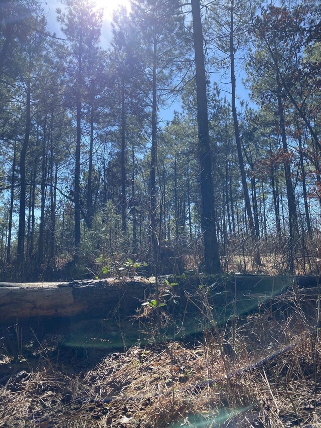 TractS Polk Road 31, Cove, AR 71937