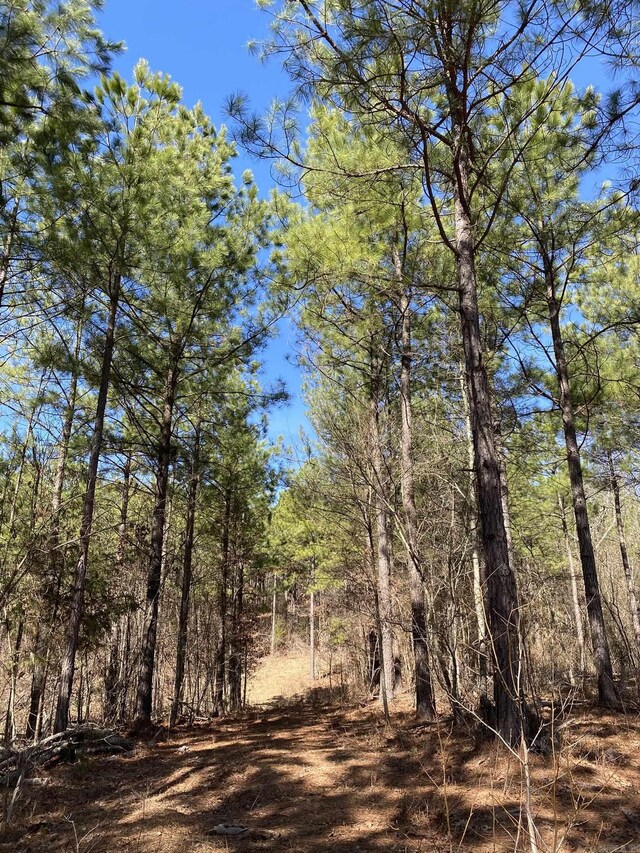 TractS Polk Road 31, Cove, AR 71937