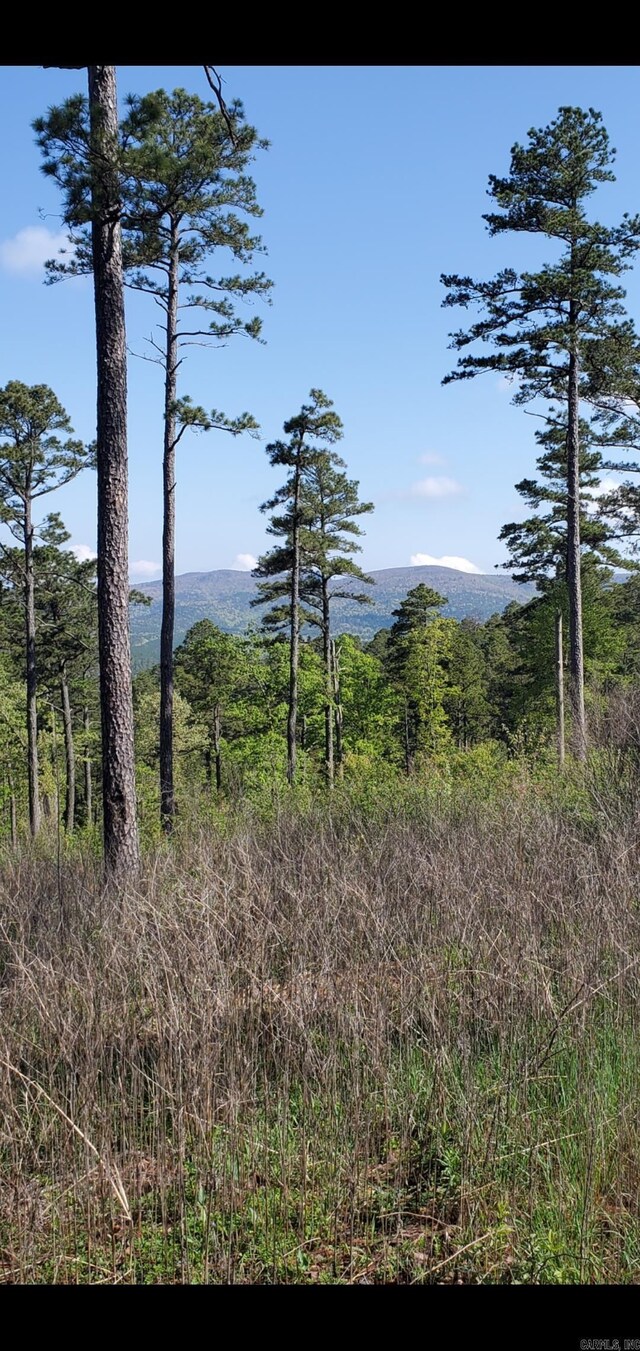 TractS Polk Road 31, Cove, AR 71937