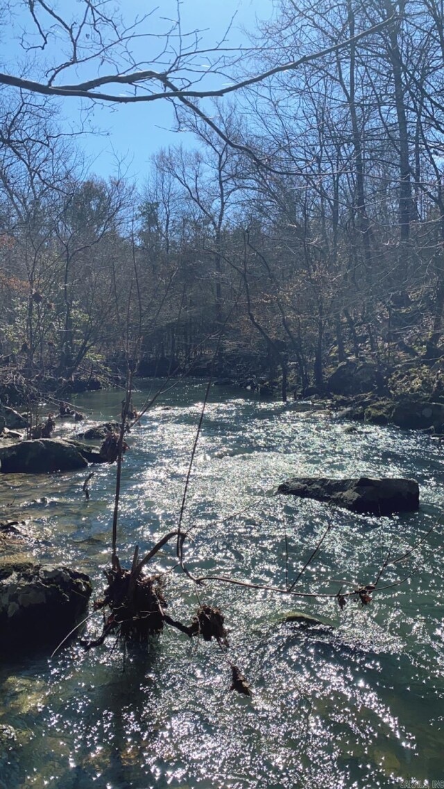 TractS Polk Road 31, Cove, AR 71937