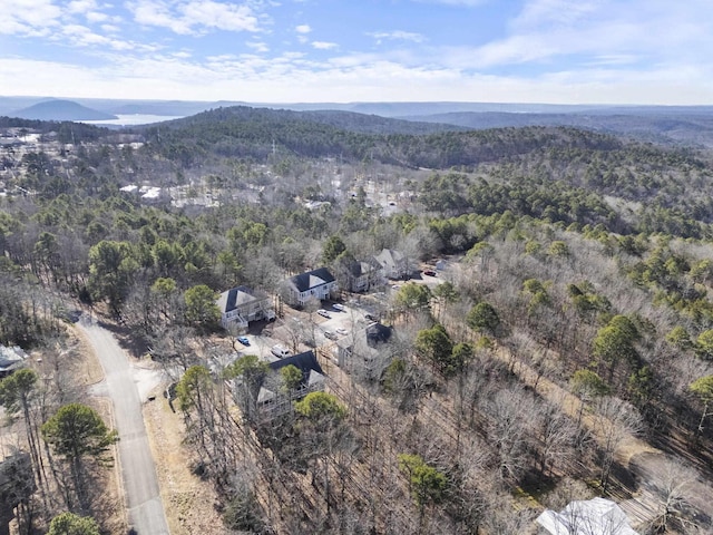 aerial view with a mountain view