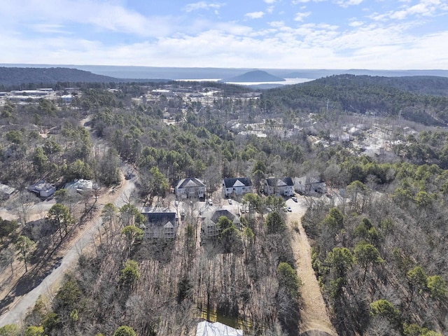 drone / aerial view featuring a mountain view and a wooded view