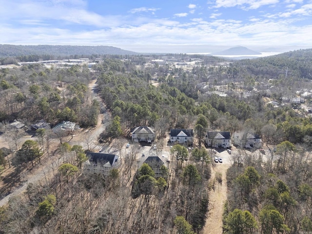 drone / aerial view featuring a mountain view