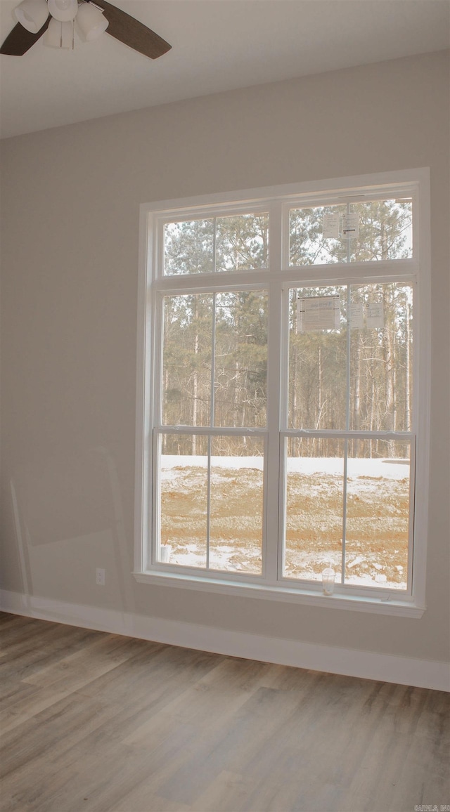 interior space with wood finished floors, a wealth of natural light, and baseboards