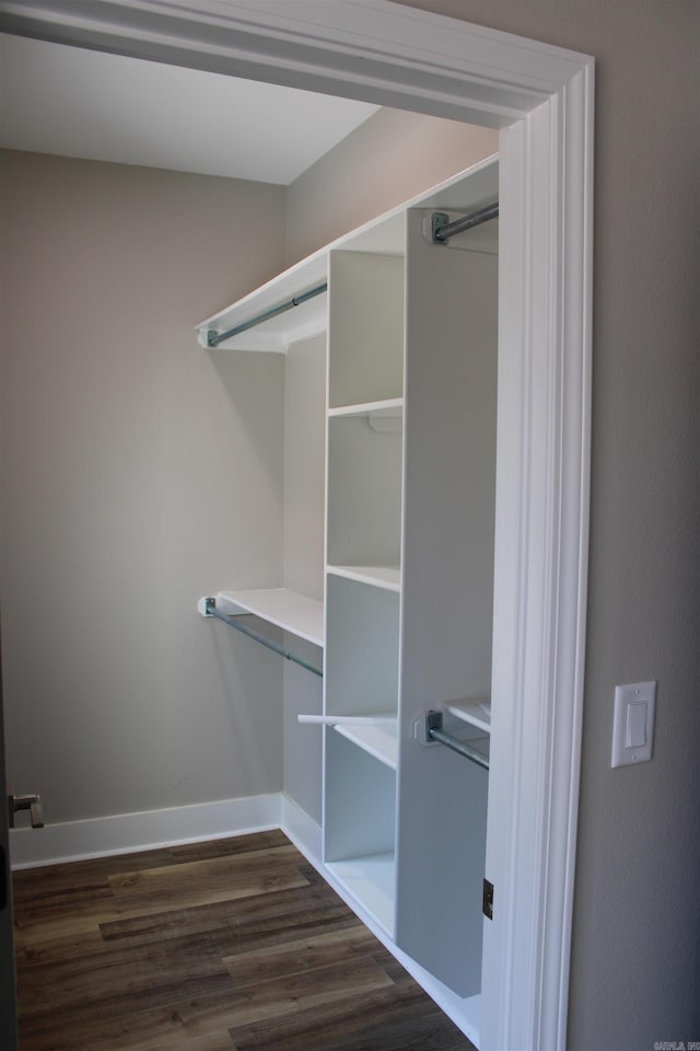 spacious closet featuring dark wood-style floors