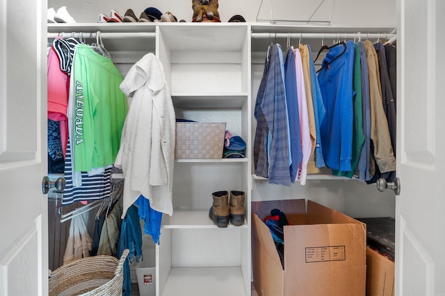 view of spacious closet