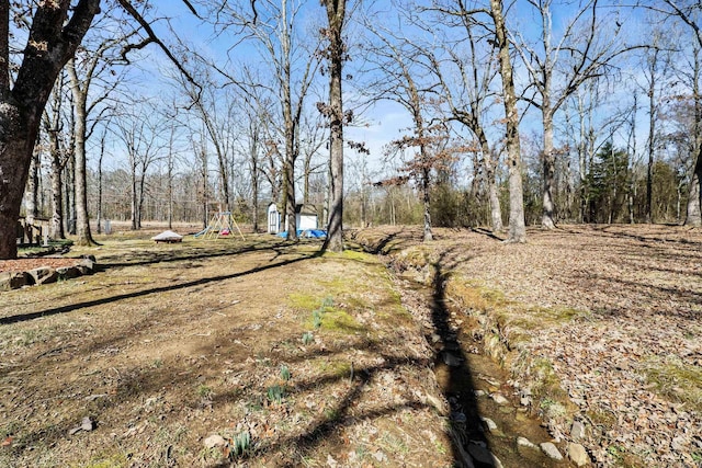 view of yard featuring a storage shed and an outbuilding